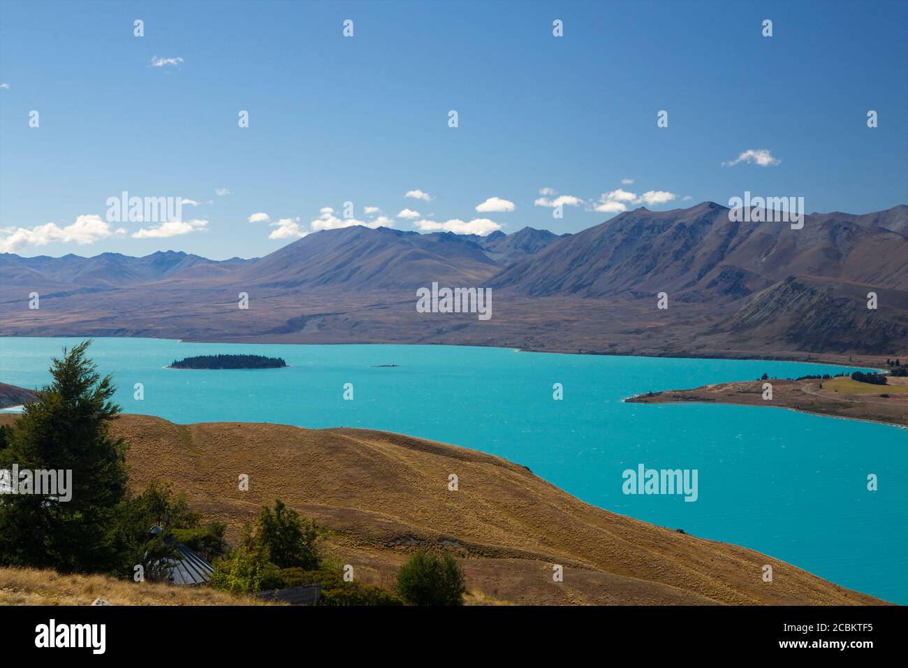 Lago Tekapo (turchese colorato dalle acque glaciali), Isola del Sud, Nuova Zelanda Foto Stock