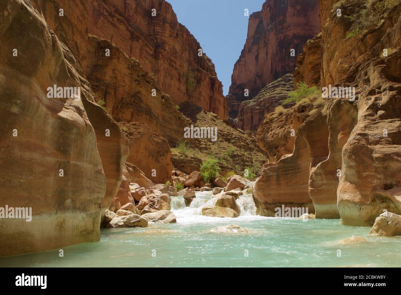 Rocce nel fiume Colorado, Grand Canyon, Arizona, Stati Uniti Foto Stock