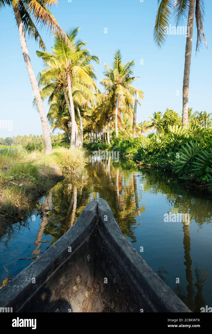 Keralan backwaters, Paravoor del Nord, Kerala, India Foto Stock