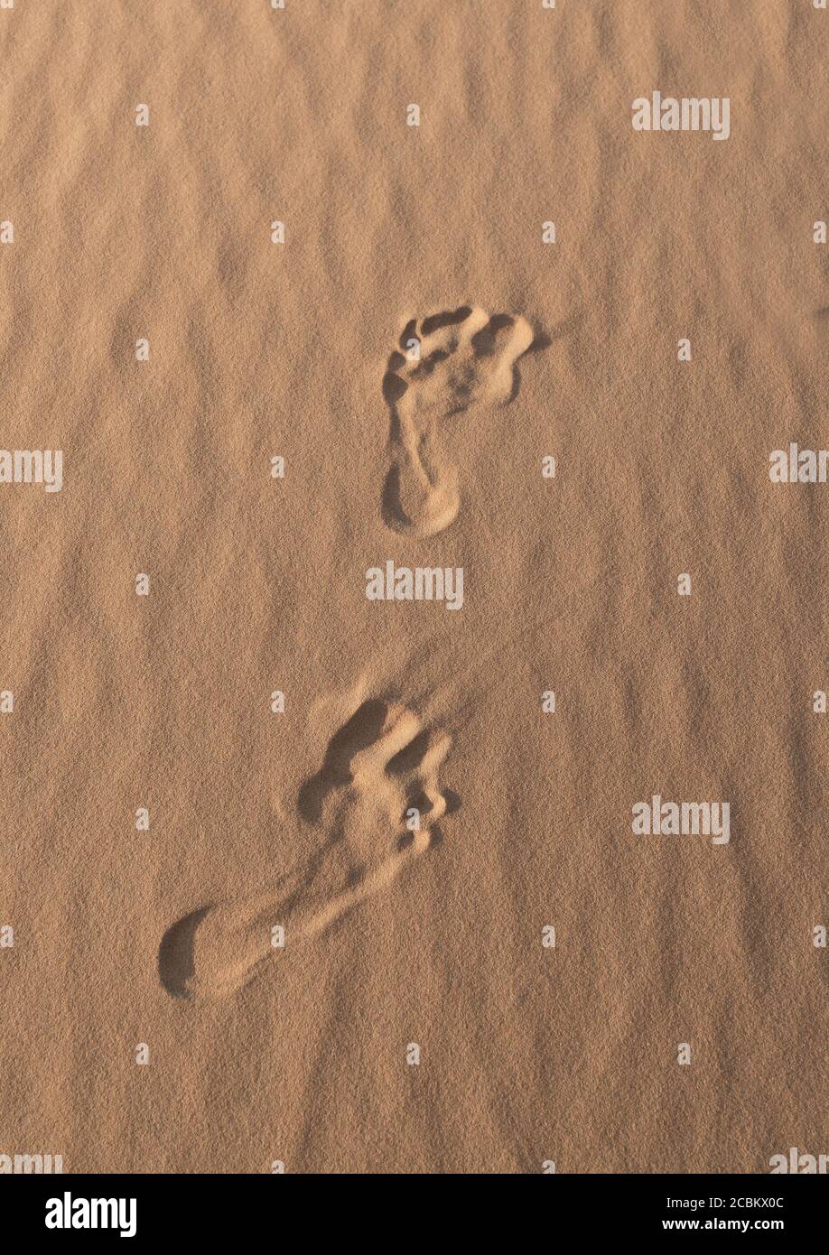 Orme nella sabbia, close-up Foto Stock