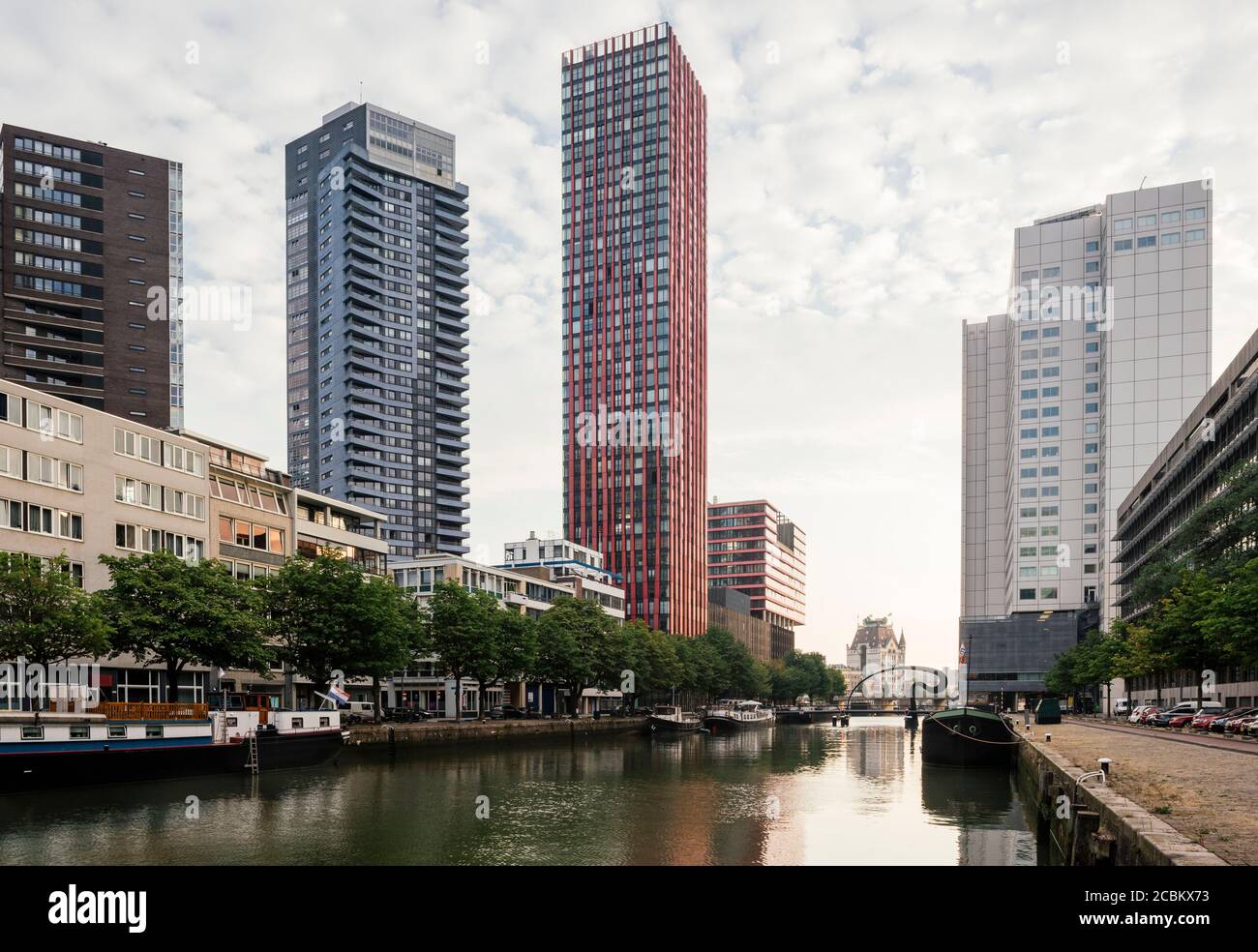 La Mela Rossa, Wijnhaven, Rotterdam, Paesi Bassi Foto Stock