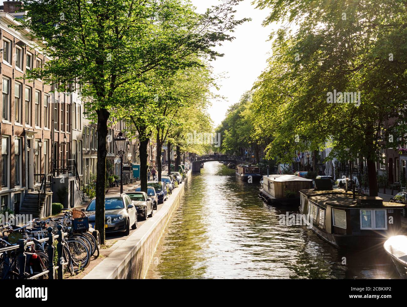Canal, quartiere Jordaan, Amsterdam, Paesi Bassi Foto Stock