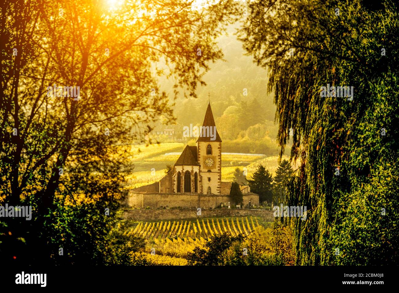 Pittoresca chiesa e vigneti sulla Route des vins dAlsace, Francia Foto Stock