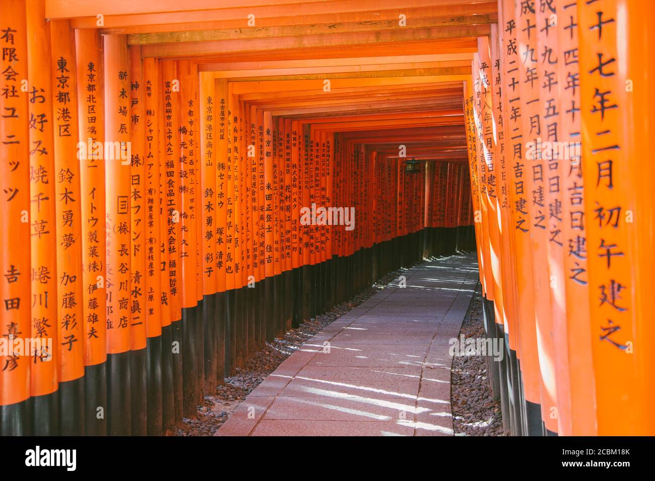 Porte torii arancioni del santuario di Fushimi Inari Taisha, Kyoto, Giappone Foto Stock