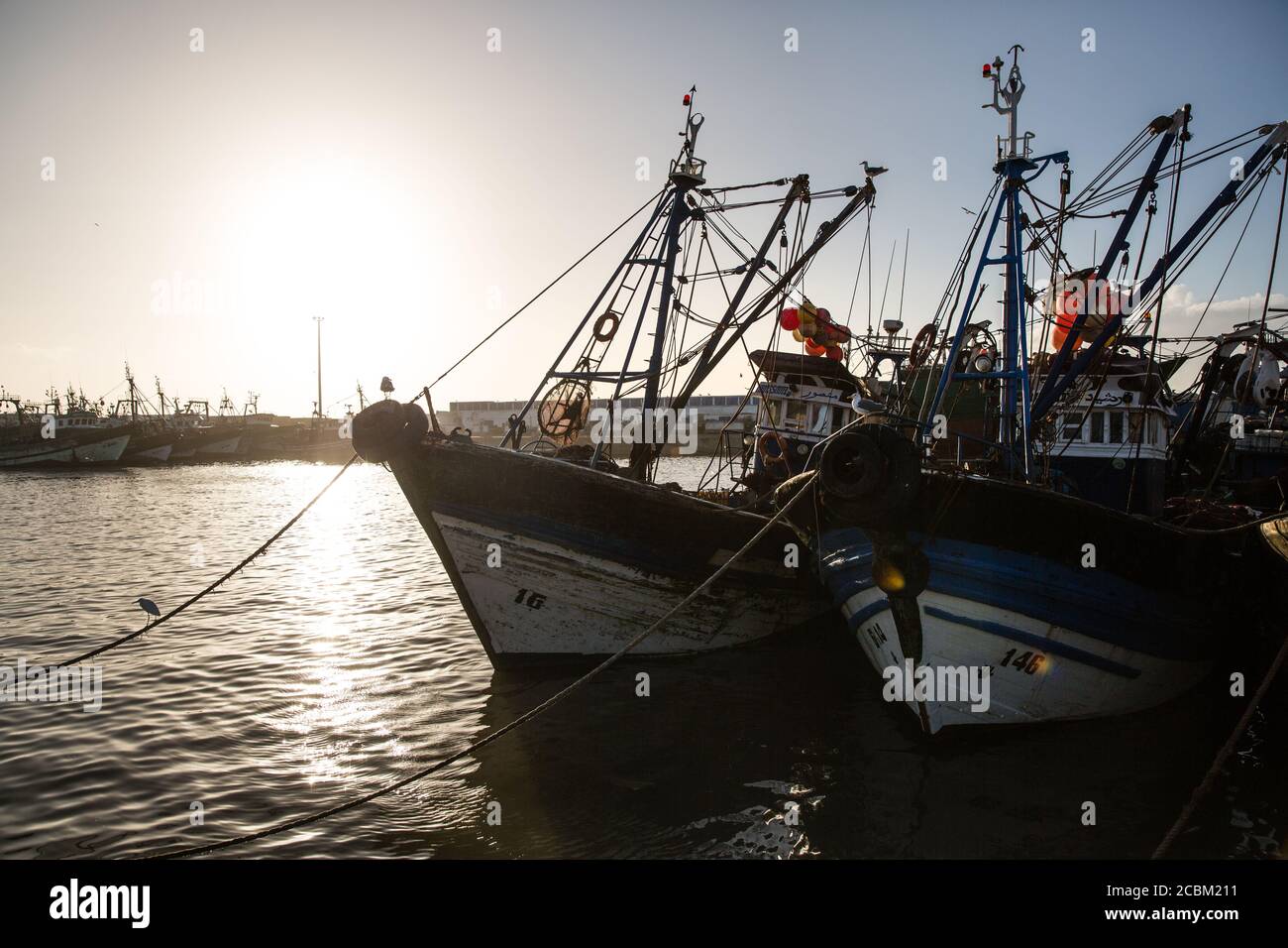 Barche da pesca ancorate nel porto, Essauira, Marocco, Africa Foto Stock