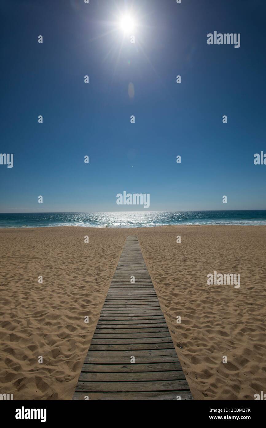 Prospettiva ridotta di passerella in legno sulla spiaggia, Comporta, Setubal, Portogallo Foto Stock