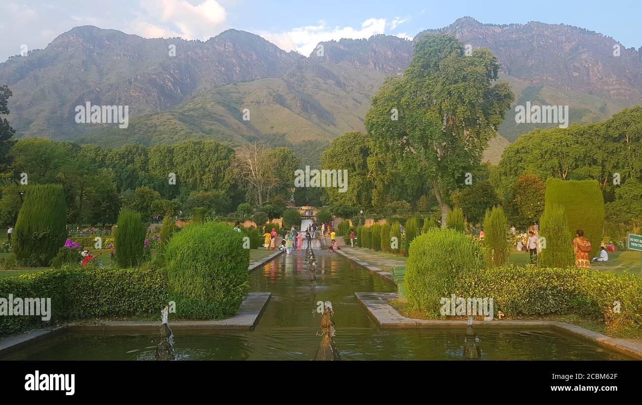 Paesaggio verde bellezza risaie campi, natura paesaggistica. Piante verdi terre e campi coltivati sembrano bella estate e primavera tempo . Verde, acqua, Foto Stock