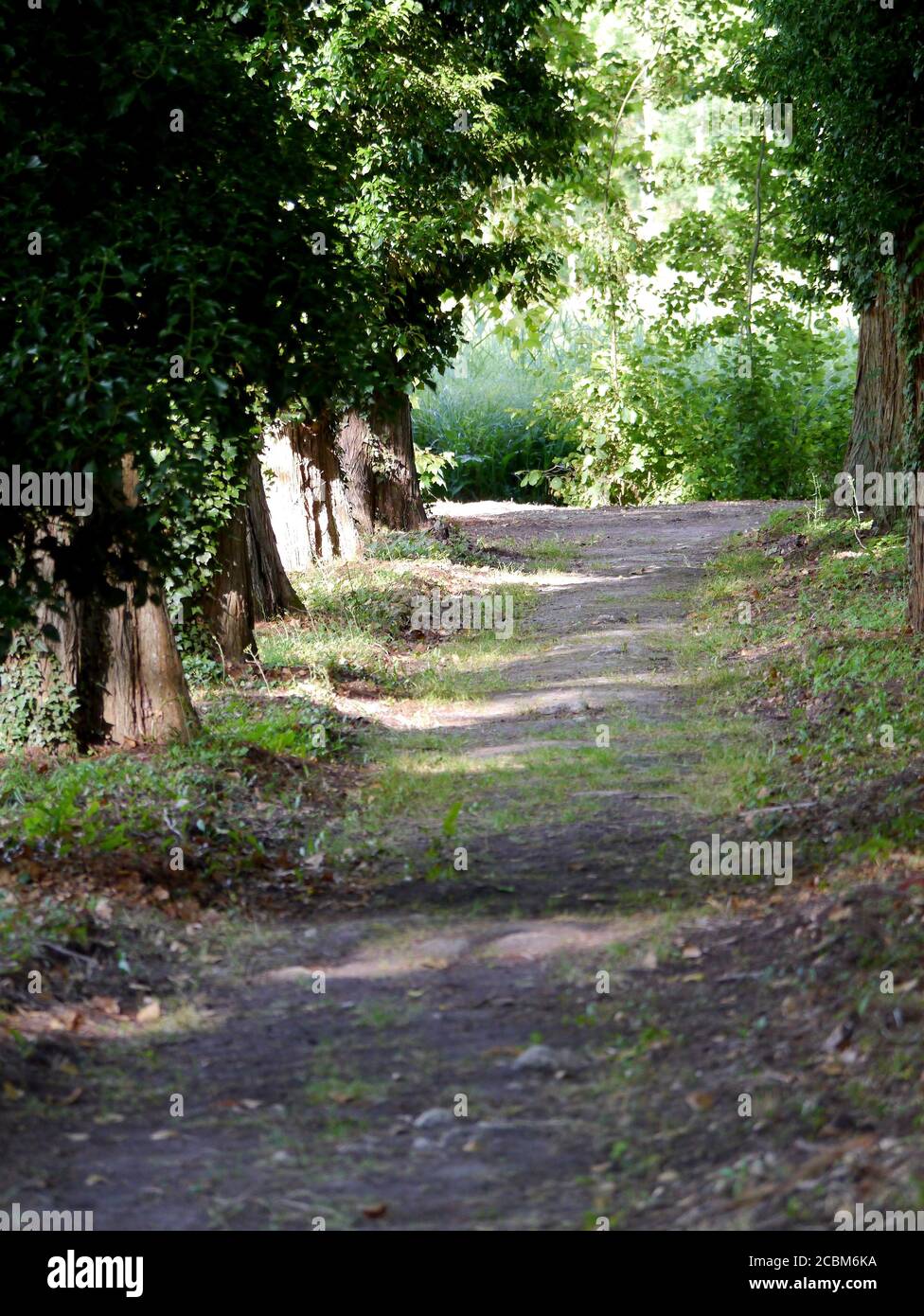 Percorso nella campagna francese. Foto Stock