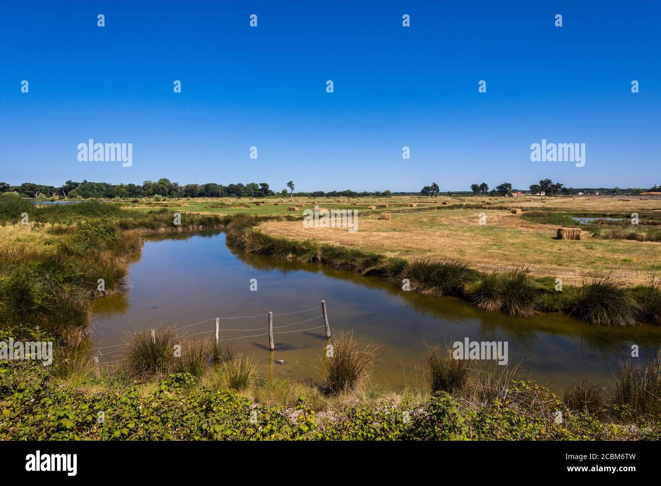 Paludi saline di Marais - Les Moutiers-en-Retz, Loire-Atlantique, Francia. Foto Stock