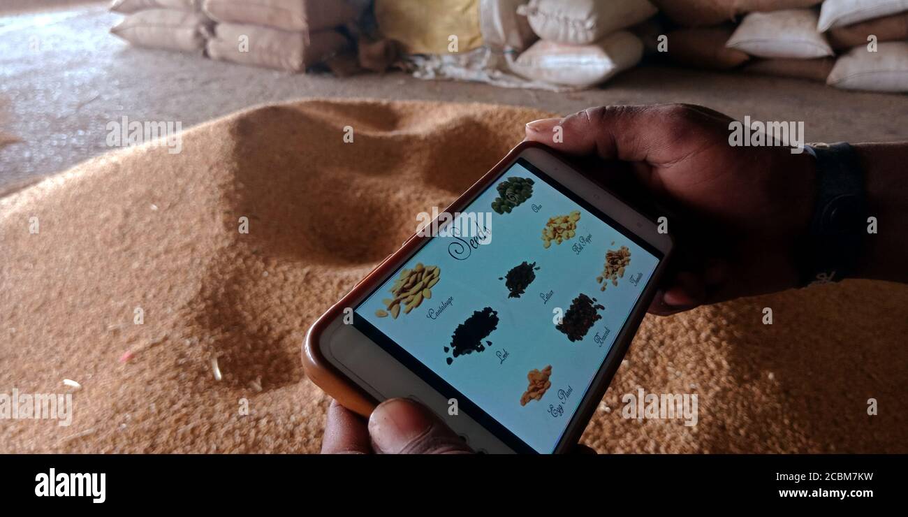 DISTRETTO KATNI, INDIA - 20 SETTEMBRE 2019: Acquista i simboli online dei semi presentati sullo schermo del telefono intelligente da un uomo indiano che tiene il cellulare a portata di mano per m sociale Foto Stock