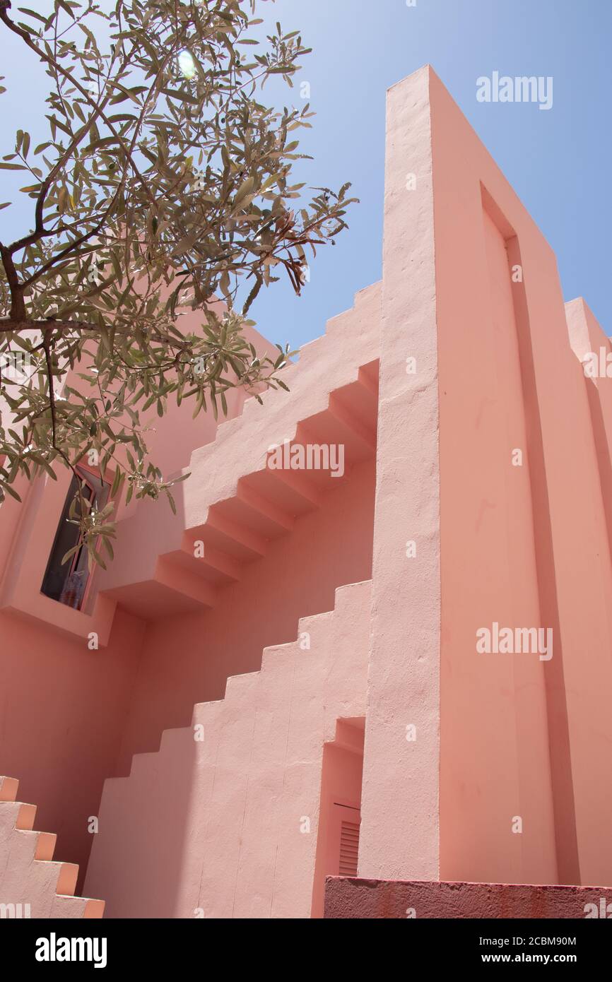 Facciata rosa con ulivo Foto Stock