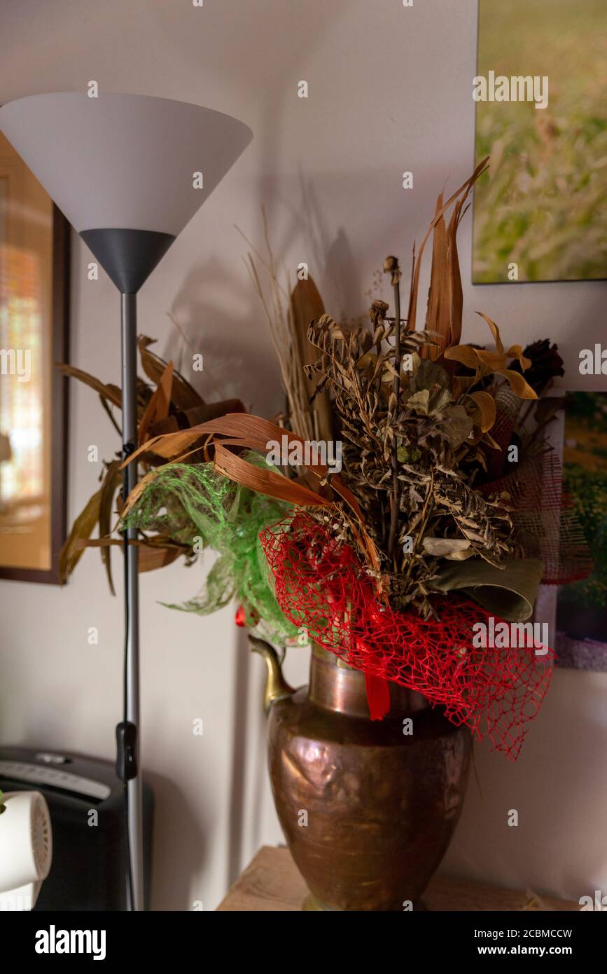 composizione di fiori secchi in vaso con lampada da pavimento per soggiorno  Foto stock - Alamy