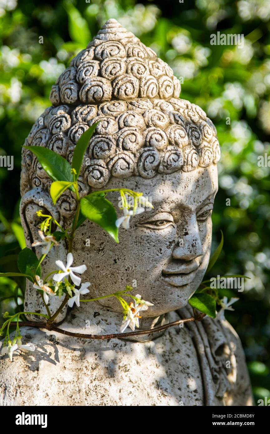 Statua di Buddha in un giardino. Foto Stock