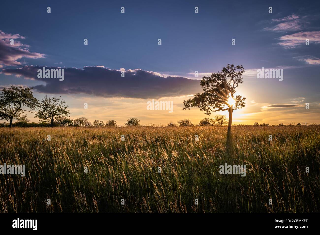 Tramonto vicino a Rottenburg am Neckar / Germania Foto Stock