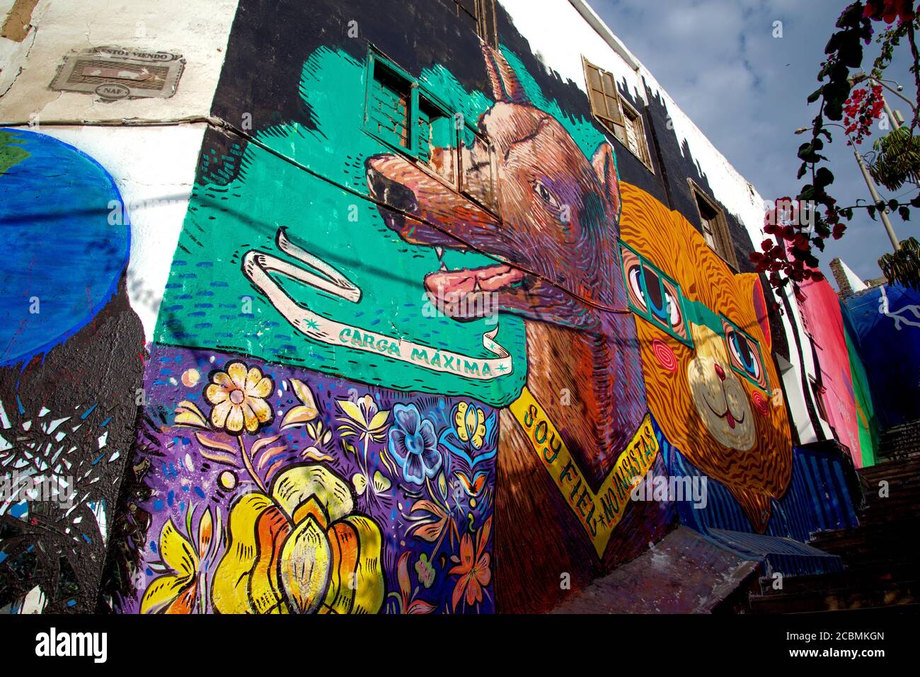 Wall Art nel distretto di Barranco Foto Stock