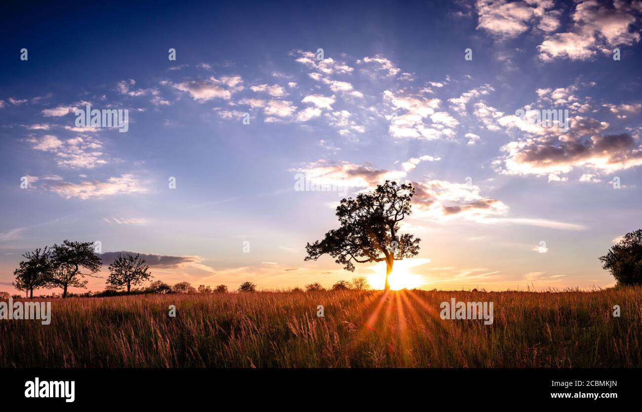 Tramonto vicino a Rottenburg am Neckar / Germania Foto Stock