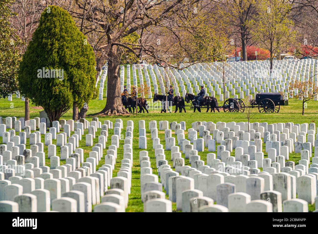 Army US marine bara funebre sul cavallo pullman Foto Stock