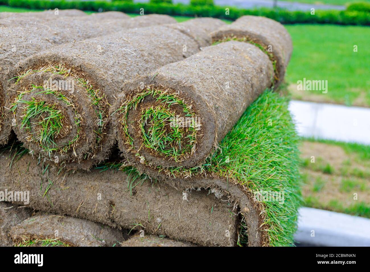 Nuovo giardinaggio prato rotoli di erba fresca manto erboso pronto per essere utilizzato Foto Stock