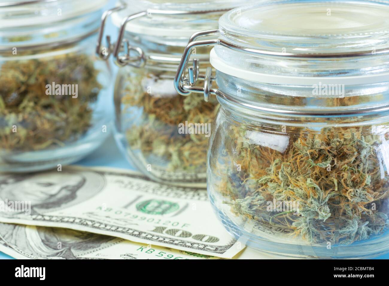 Primo piano di cannabis medica o ricreativa in vasi, soldi su sfondo blu. Attività agricola di marijuana Foto Stock