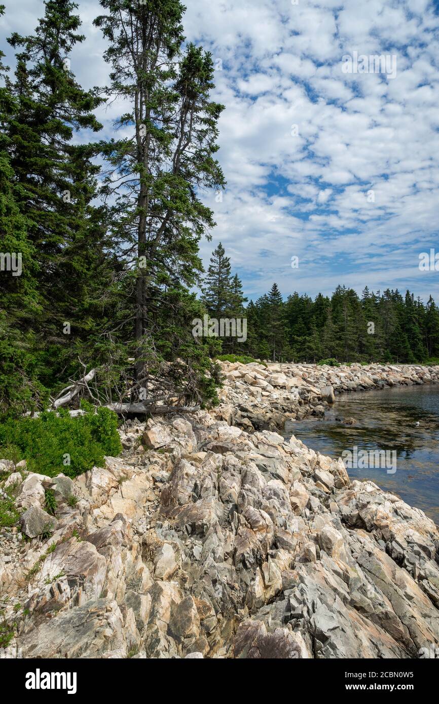 Gli alberi circondano una baia nella Penisola Schoudica nel Acadia National Park nel Maine Foto Stock