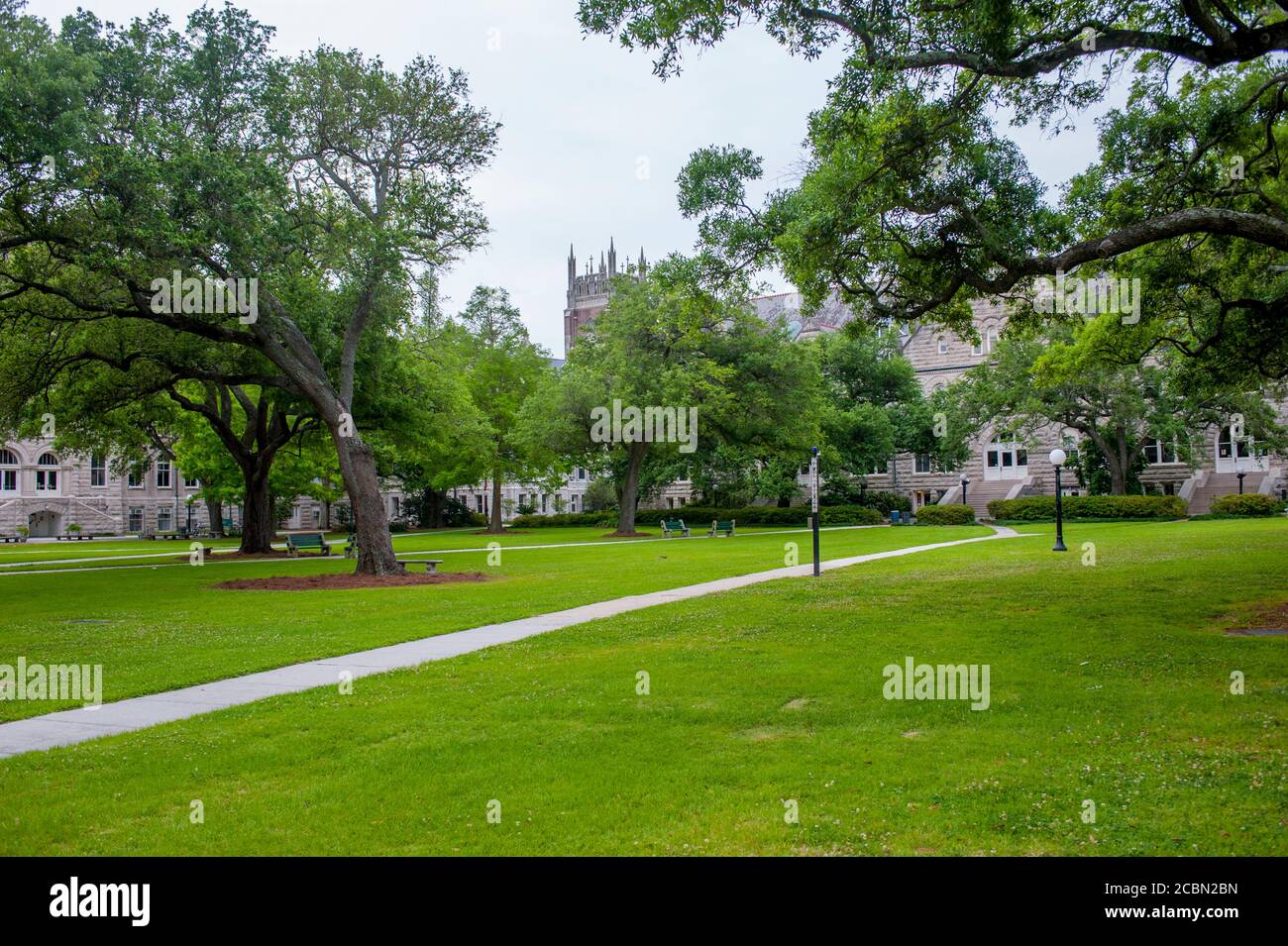 Il green si trova su St. Charles Avenue di fronte alla Gibson Hall presso la Tulane University, un'università privata di ricerca a New Orleans, Louisiana, USA. Foto Stock