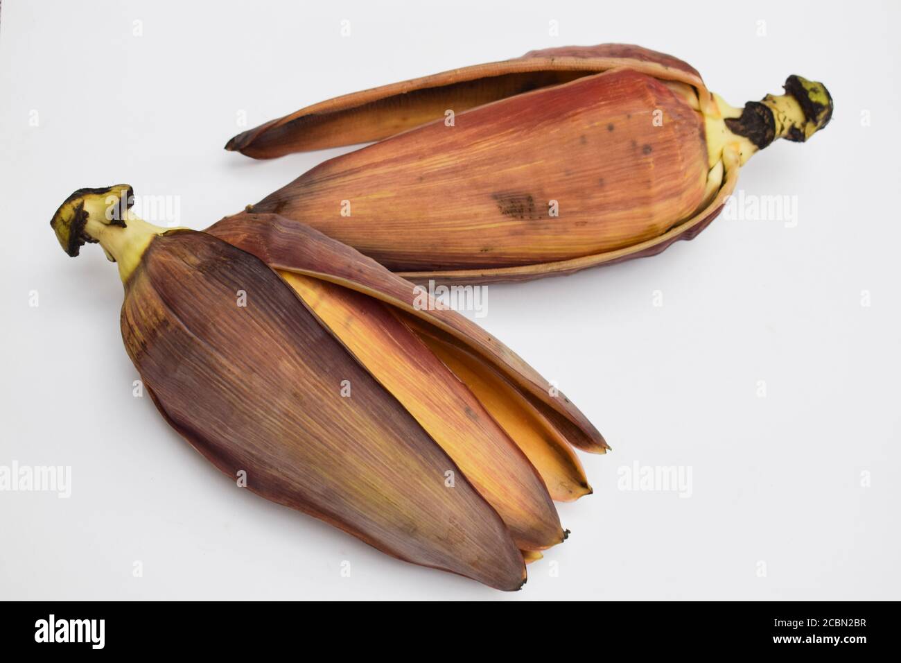 Fiore di Banana crudo conosciuto anche come fiore di Banana o cuore di Banana su sfondo bianco. Curry sabji sud indiano o pakistano o Nepalese verdura esotica t Foto Stock