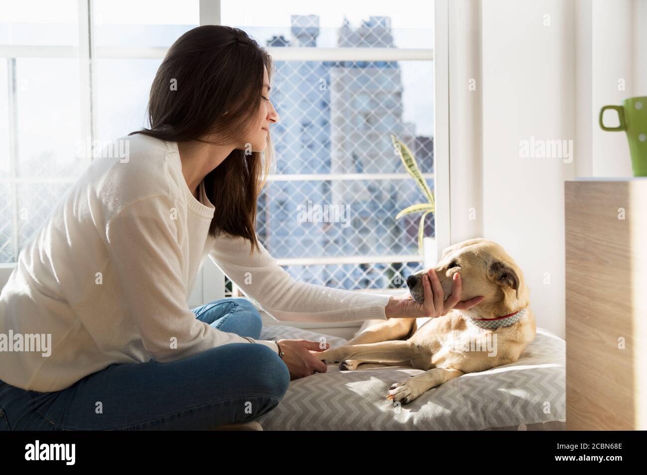 Giovane donna che gioca con un cane. Ragazza in casa con il suo cane. Foto Stock