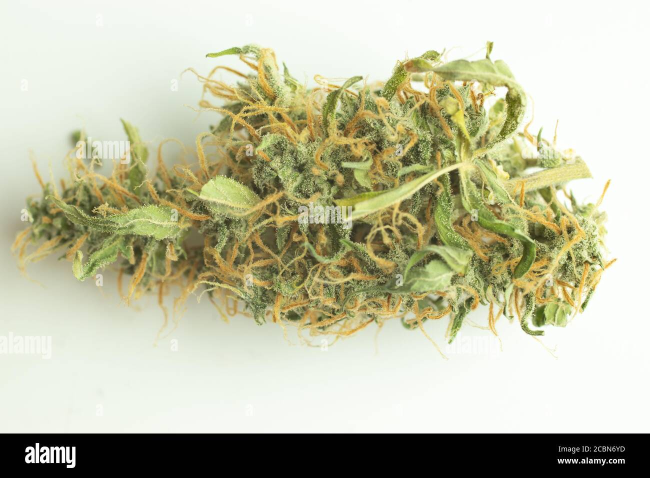 Marijuana germoglio di droga medica isolato su sfondo bianco Foto Stock