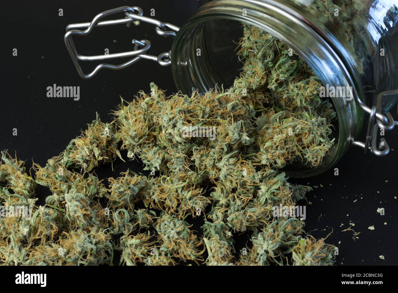 Grande quantità di germogli di Cannabis. Marijuana medica Foto Stock