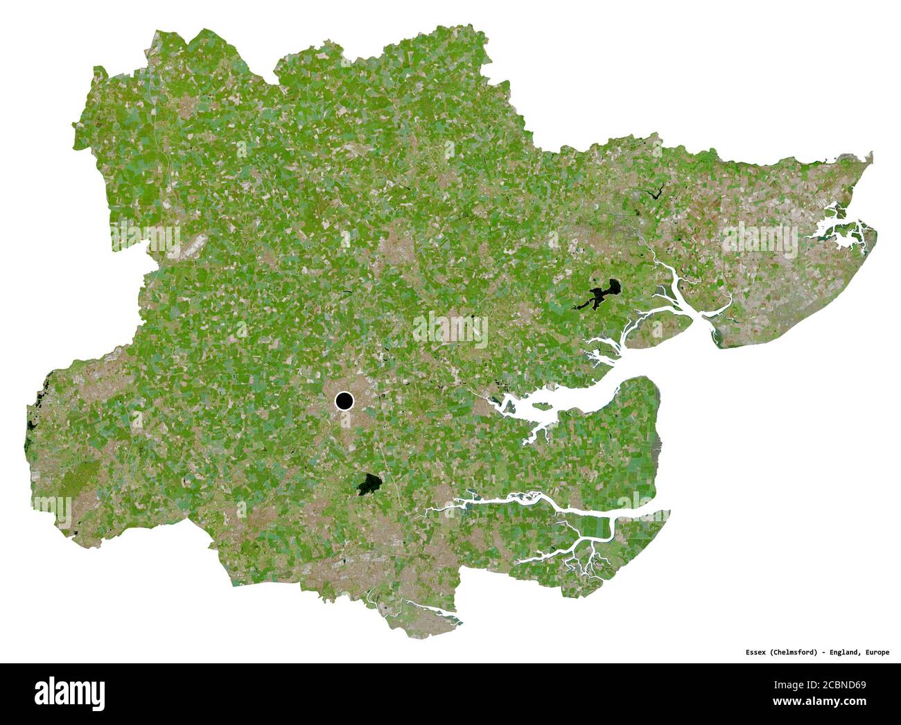 Forma dell'Essex, contea amministrativa dell'Inghilterra, con la sua capitale isolata su sfondo bianco. Immagini satellitari. Rendering 3D Foto Stock