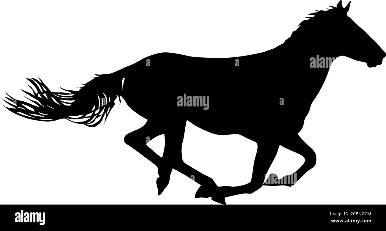 Silhouette di cavallo mustang nero su sfondo bianco. Illustrazione Vettoriale