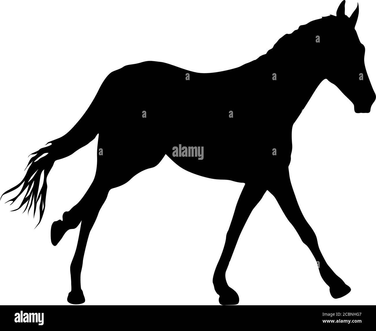 Silhouette di cavallo mustang nero su sfondo bianco. Illustrazione Vettoriale