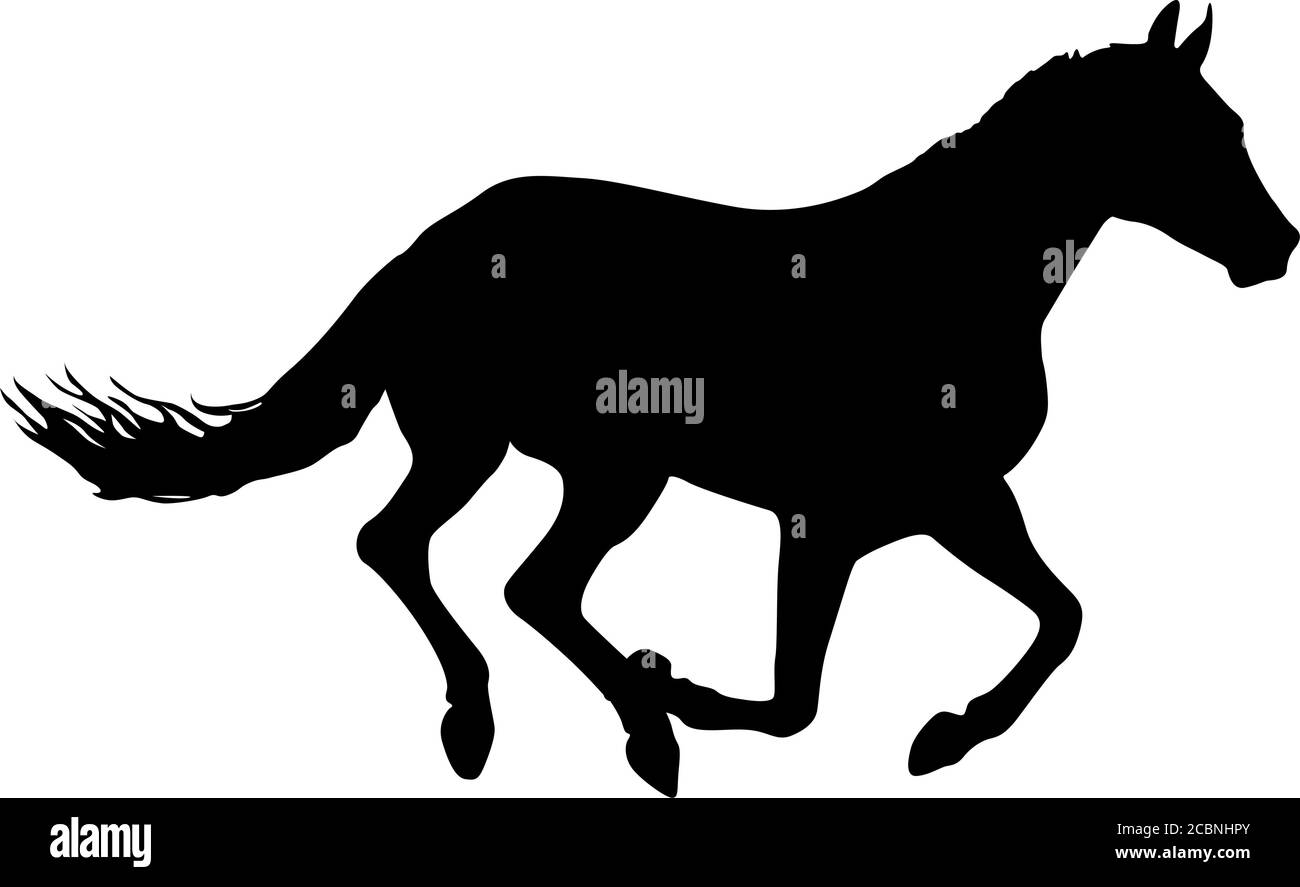 Silhouette di cavallo mustang nero su sfondo bianco. Illustrazione Vettoriale