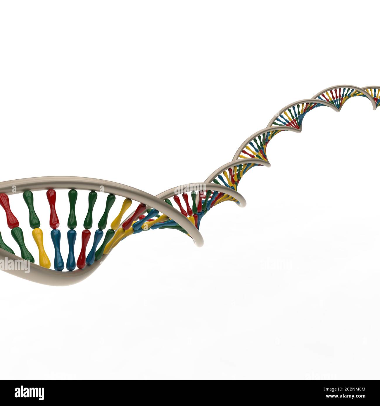 Filamenti di DNA multicolore in una struttura a catena a doppia elica su sfondo bianco Foto Stock