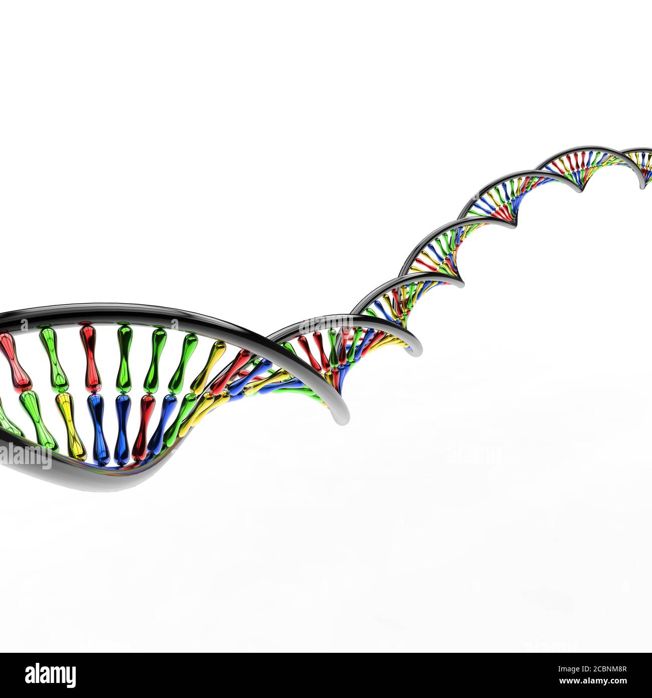Trefoli di DNA metallico multicolore in una struttura a catena a doppia elica su sfondo bianco Foto Stock