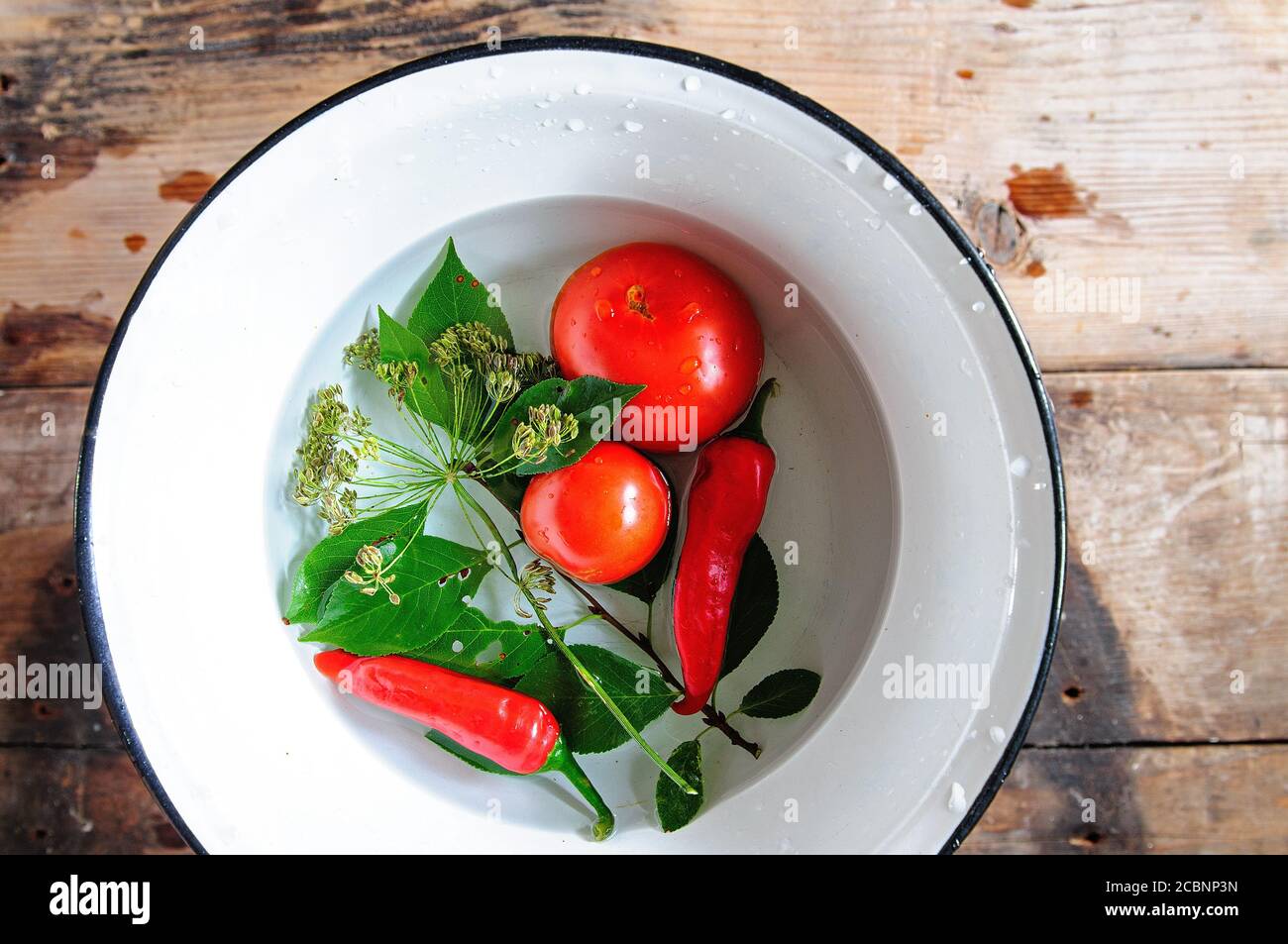 pomodori, peperoni rossi, semi di aneto e foglie di ciliegia e rafano in acqua in una ciotola di smalto bianco. Foto Stock