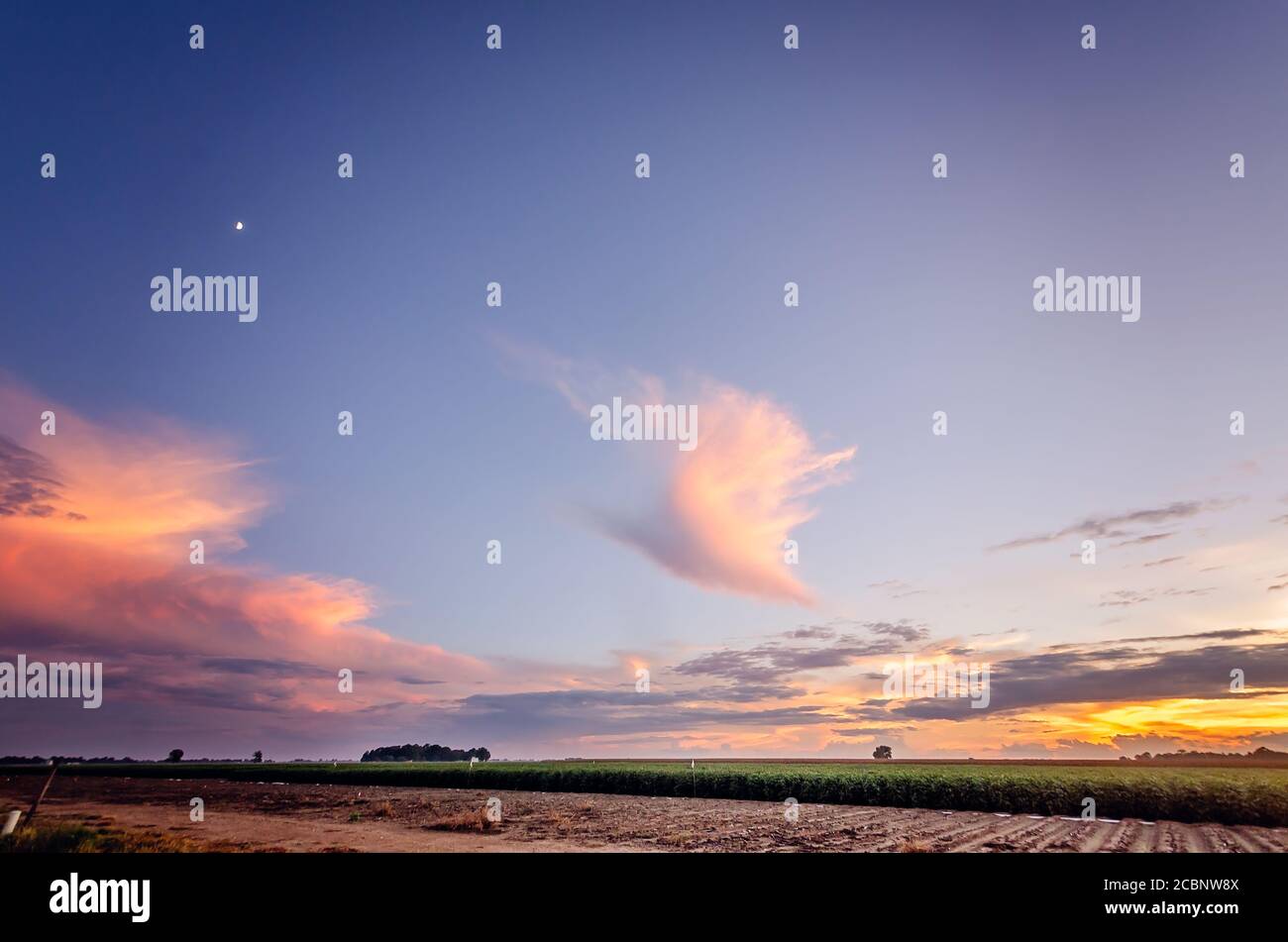 Il sole tramonta su un campo nella Contea di Bolivar, nel Delta del Mississippi, 11 agosto 2020, a Cleveland, Mississippi. Foto Stock