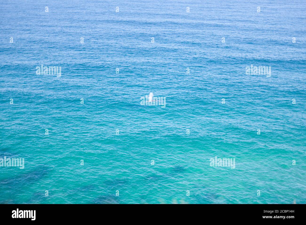 Acque cristalline della costa australiana Foto Stock