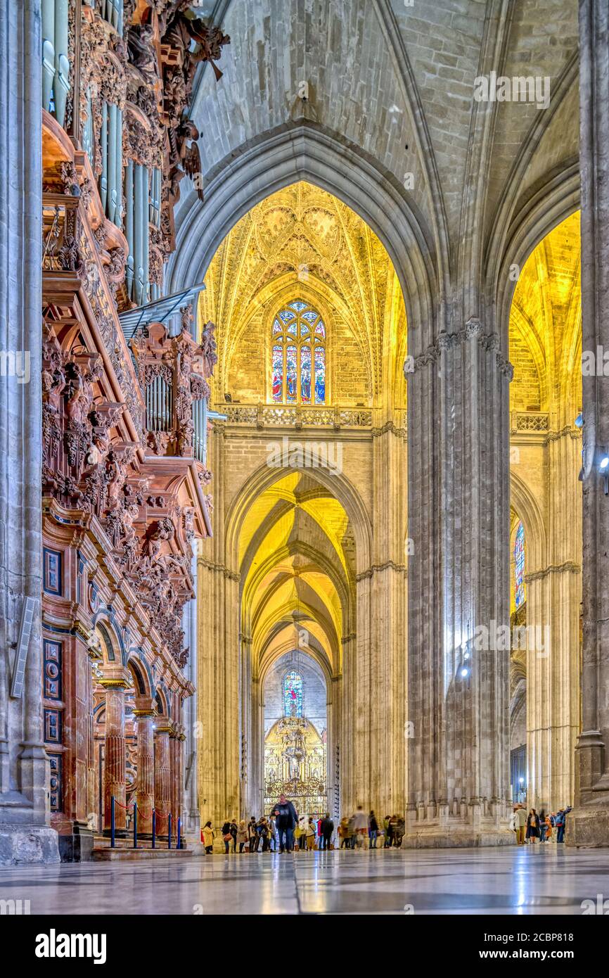 Navata Sud e organo della Cattedrale di Siviglia, Spagna Foto Stock