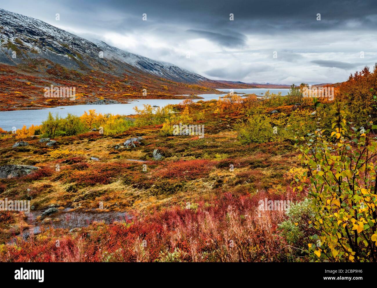 Ampio paesaggio, Fjaell con vegetazione colorata in autunno, Ruska Aika, Estate Indiana, Estate Indiana, Estate Indiana, Tessand, Innlandet, Norvegia Foto Stock