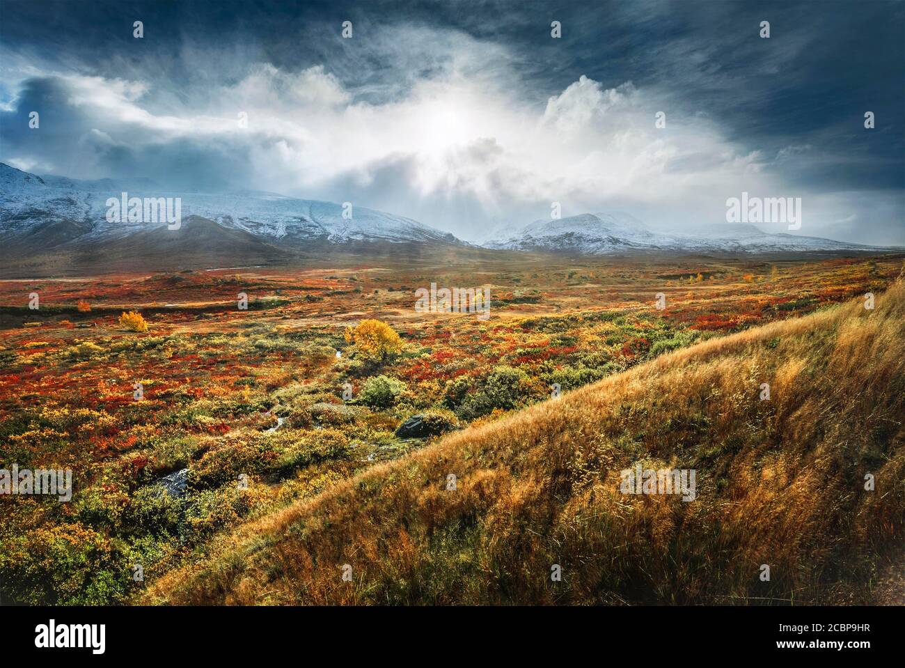 Ampio paesaggio, Fjaell con vegetazione colorata in autunno, Ruska Aika, Estate Indiana, Estate Indiana, Estate Indiana, drammatica atmosfera nuvolosa Foto Stock