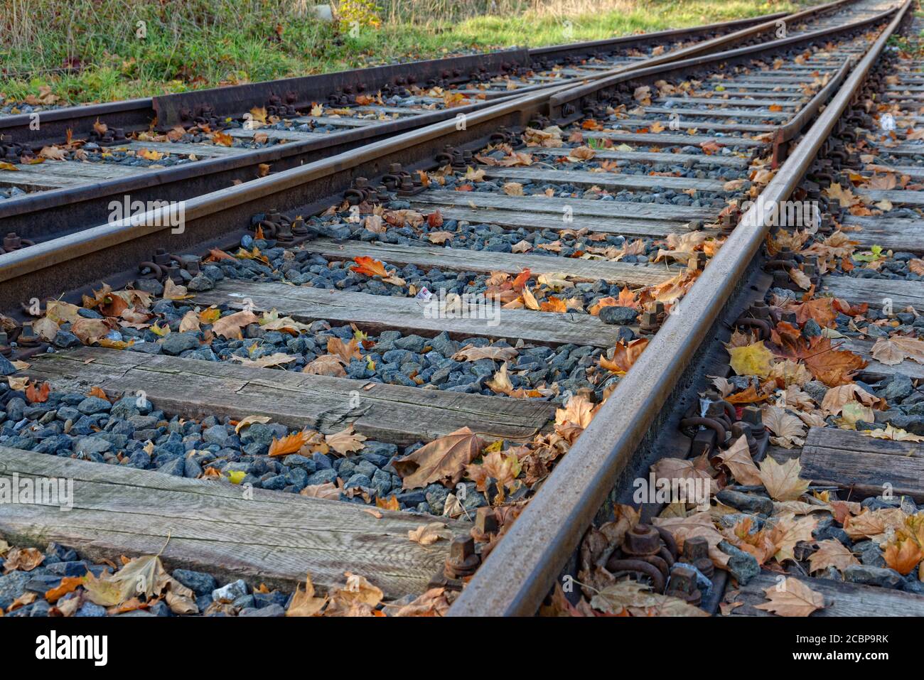 Ferrovie con fogliame, Germania Foto Stock