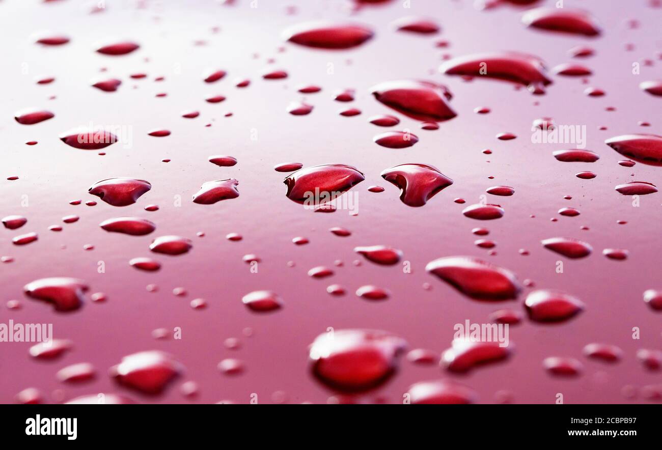 Gocce di pioggia su vernice rossa dell'automobile, Austria Foto Stock