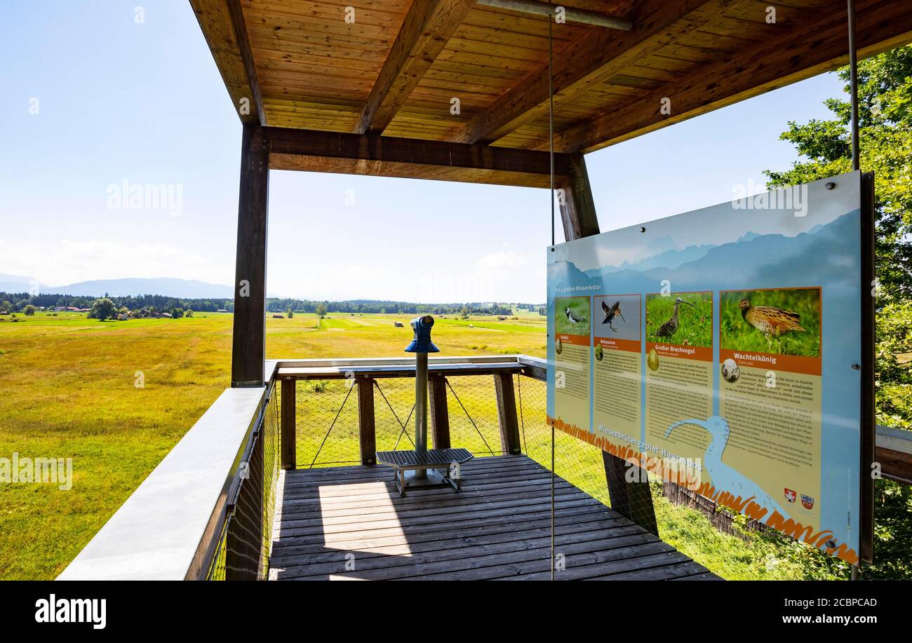 Piattaforma di osservazione zona di allevamento dei prati Haarmoos, Abtsdorfer See, comunità Saaldorf-Surheim, Rupertijinkel, alta Baviera, Baviera, Germania Foto Stock