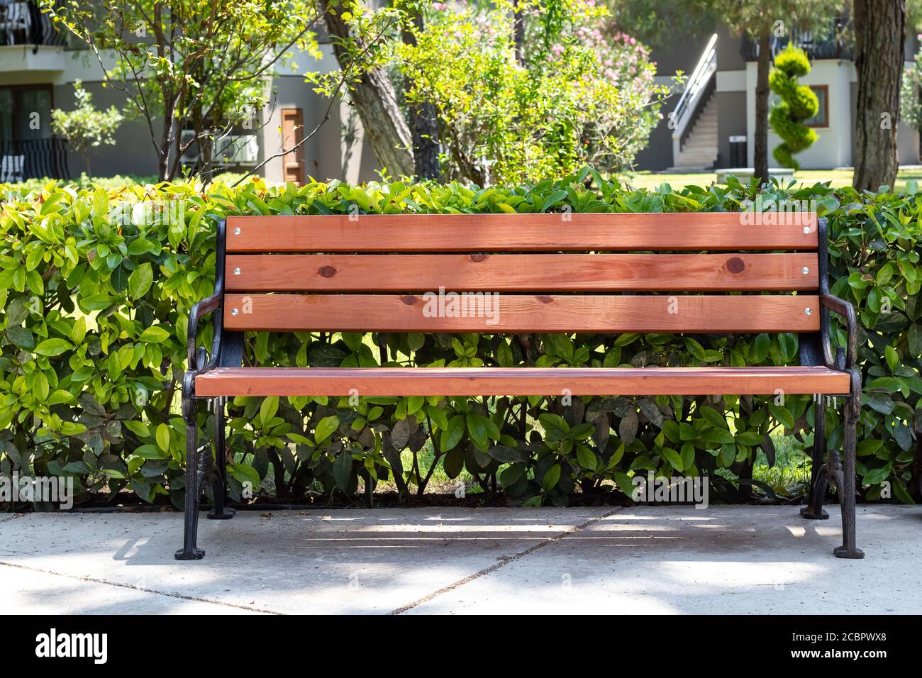 Panca vuota di legno nel cortile del campus, siepe estivo, una recinzione verde cespuglio. Concetto di riposo Foto Stock