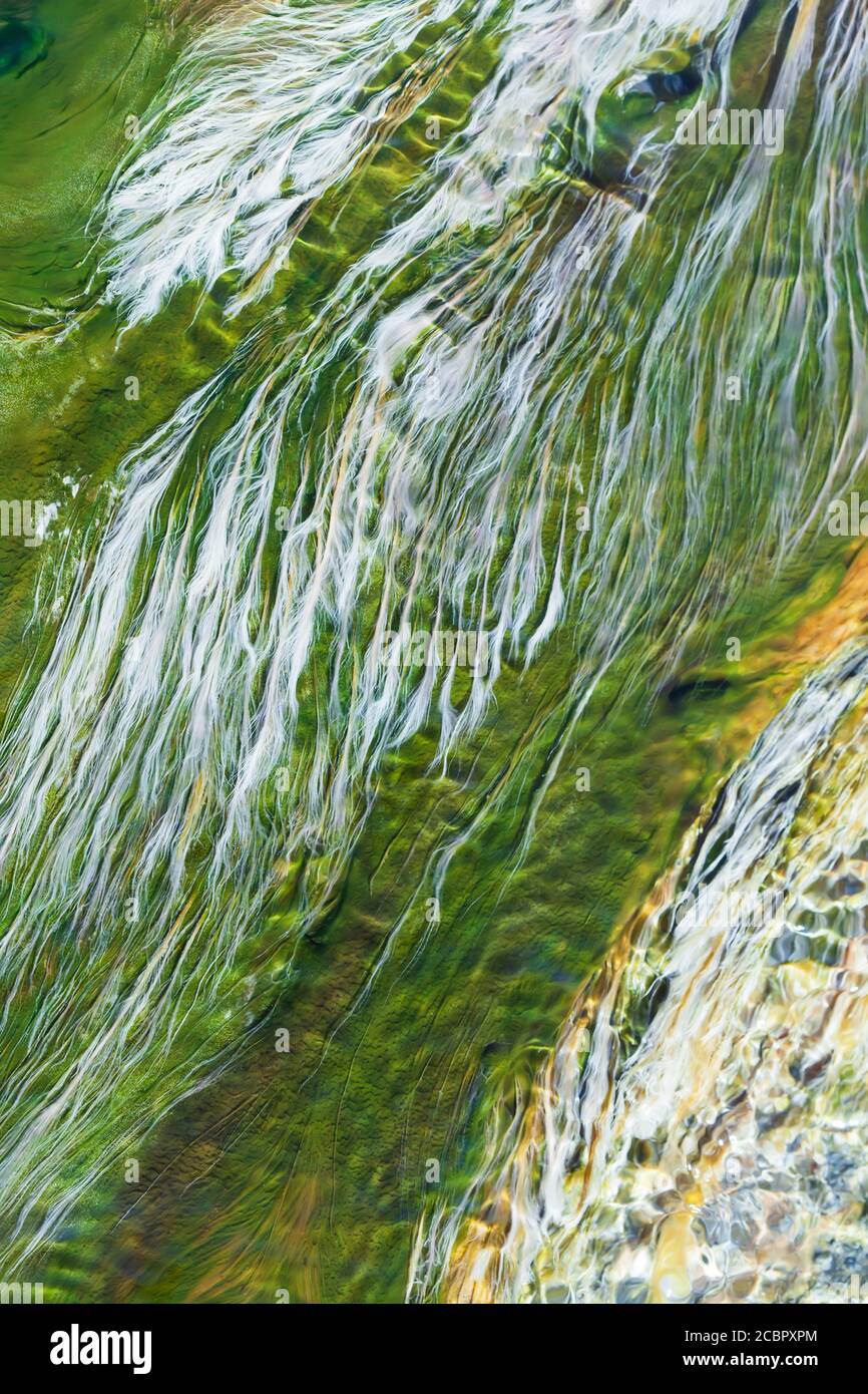 Colori astratti ombra del fiume Weed e alghe che crescono in acque poco profonde di sorgenti termali calde. Primo piano. Vista dall'alto. Foto Stock