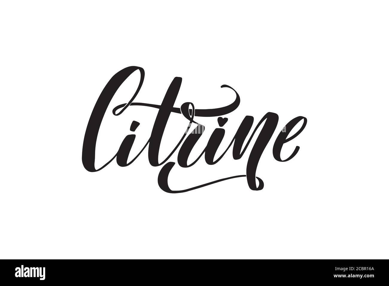 Vettore illustrazione di calligrafia isolati su sfondo bianco. Illustrazione Vettoriale