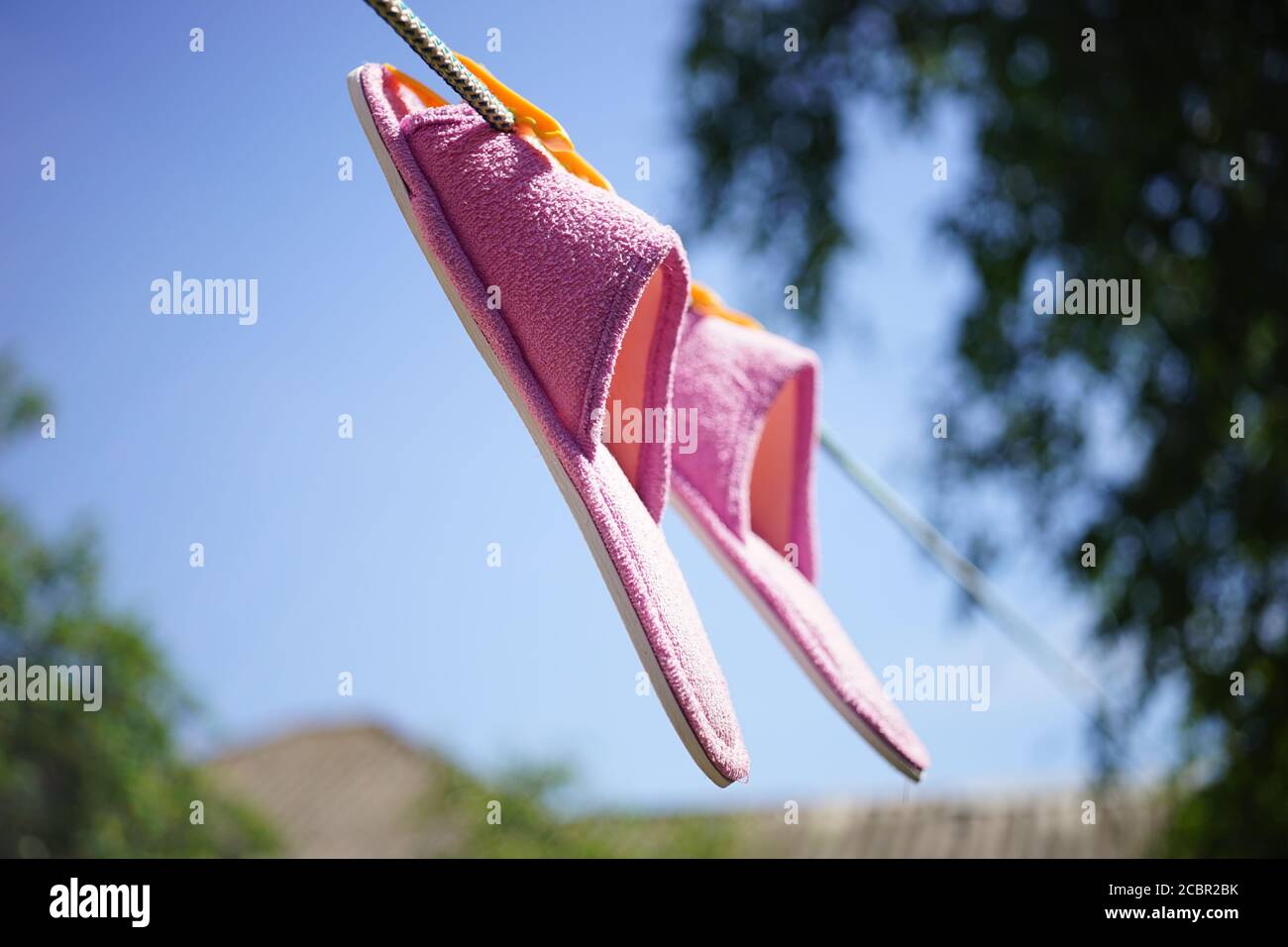 le ciabatte viola femmina sono asciugate su uno stendibiancheria in una giardino estivo Foto Stock