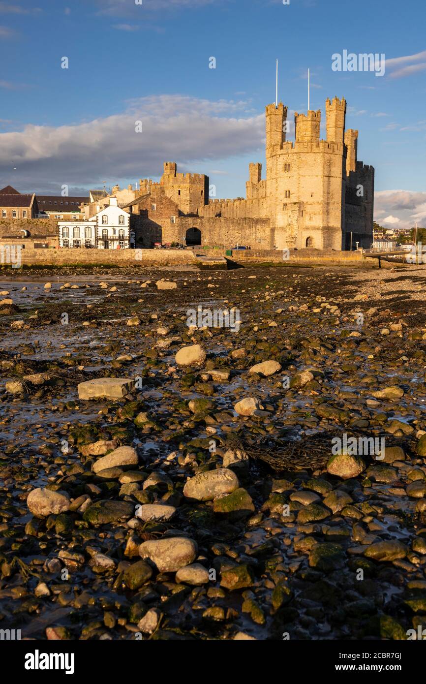 Caernarfon Castle sulla costa settentrionale del Galles Foto Stock