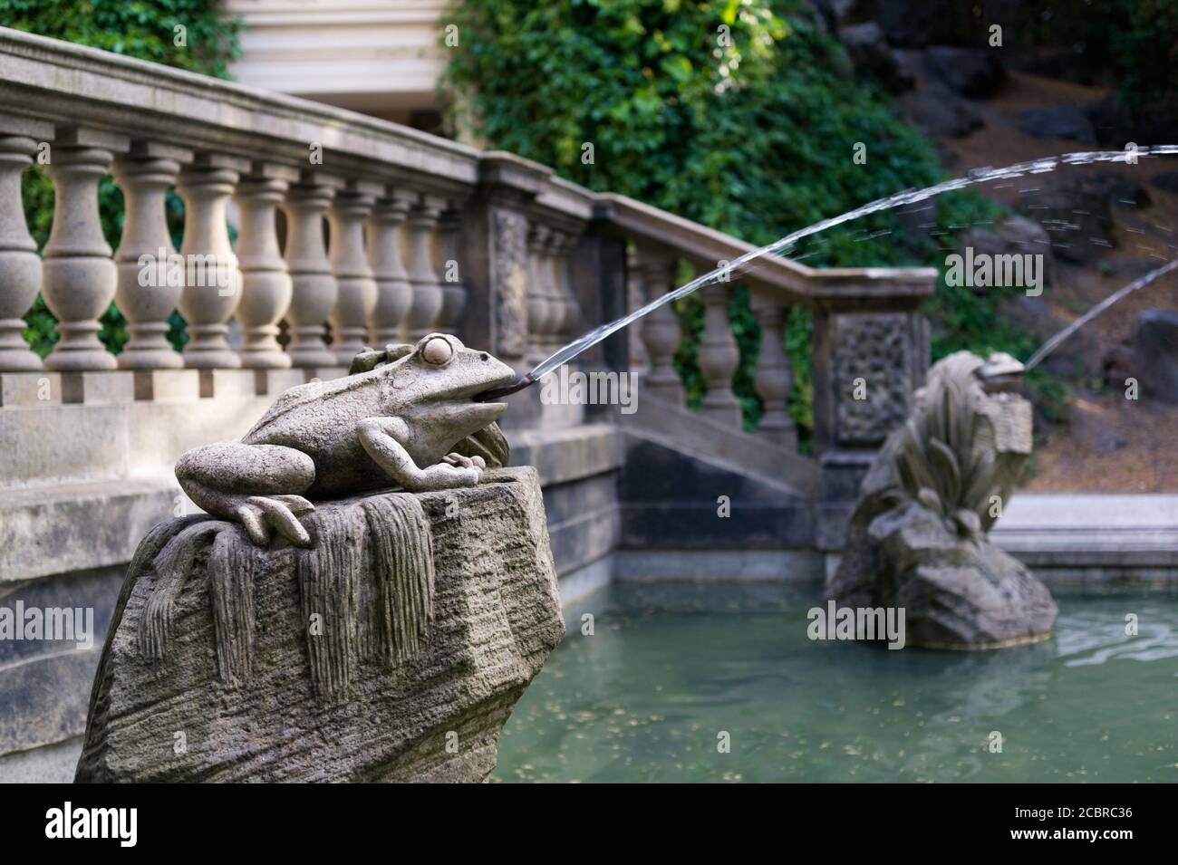 Gargoyle - statua di rana con spruzzi d'acqua dalla bocca. Animale fatto di pietra come decorazione e ornamento. Particolare di Grotta, fontana del 19 ° centu Foto Stock